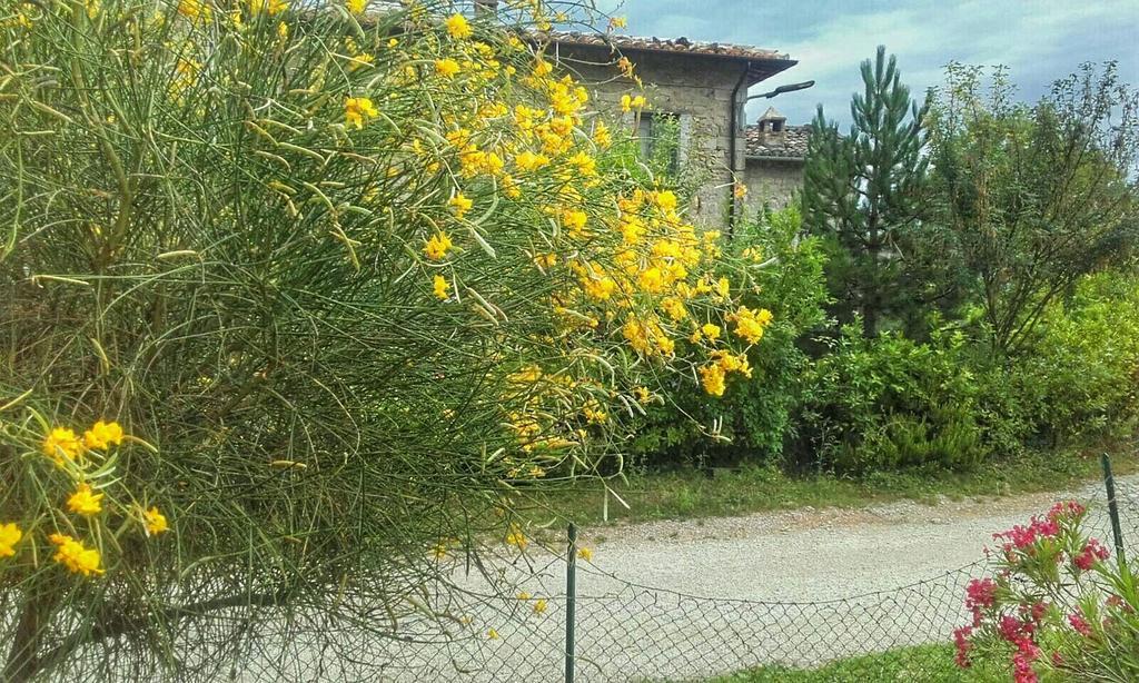 B&B Casale Giovannozzi อัสโกลีปิเชโน ภายนอก รูปภาพ