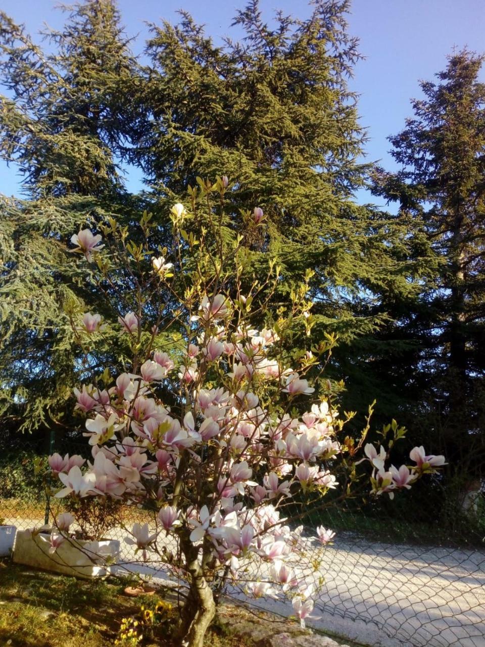 B&B Casale Giovannozzi อัสโกลีปิเชโน ภายนอก รูปภาพ